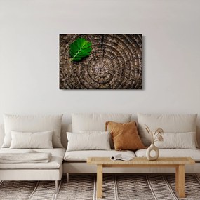 Tablou cu frunză pe trunchi de copac (90x60 cm)