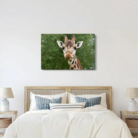 Tablou cu girafa (90x60 cm)