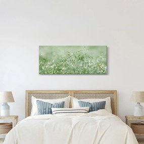 Tablou - Roua dimineții pe firele de iarbă (120x50 cm)