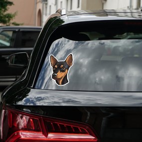 PIPPER. Autocolant Pinscher miniatural mărimea: 60cm