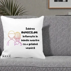 Cadou pentru Bunici - Perna Personalizata Iubirea Bunicilor Infloreste Cuplu Line Art Gradient, 40x40 cm, Alba Mata, Husa Detasabila, Perna Inclusa, BEKZ®