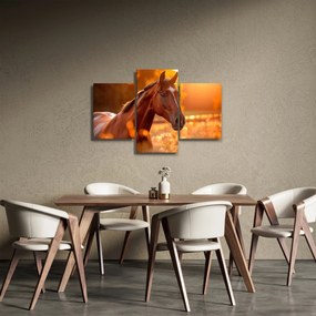 Tablou - Cal în apus de soare (90x60 cm)