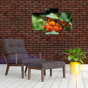 Tablou cu fluture pe floare (90x60 cm)