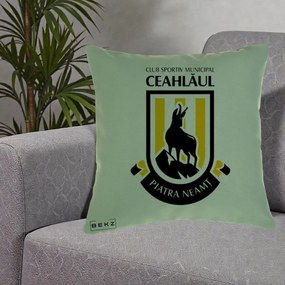 Perna Personalizata CSM Ceahlaul Piatra Neamt Fotbal, 40x40 cm, Verde, Husa Detasabila, Perna Inclusa, BEKZ®