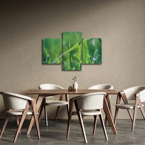 Tablou cu picături de rouă (90x60 cm)