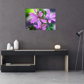Tablou pe sticlă cu floarea detailat (70x50 cm)