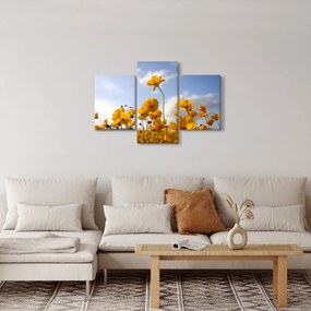 Tablou - Câmp cu flori galben deschis (90x60 cm)