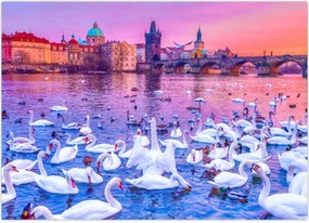 Tablou - Praga (70x50 cm)