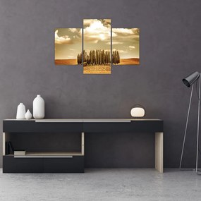 Tablou cu luncă (90x60 cm)