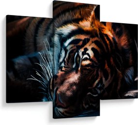 Tablou cu tigrul dormind (90x60 cm)