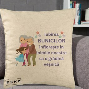 Cadou pentru Bunici - Perna Personalizata Bunicii Iubirea Infloreste Bunici cu Nepoata Colorat, 40x40 cm, Bej, Husa Detasabila, Perna Inclusa, BEKZ®