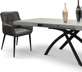 Scaun tip fotoliu Rivier,structura metalica ,piele ecologica