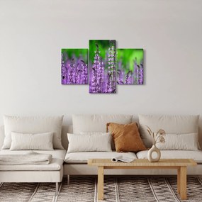 Tablou cu flori de luncă violete (90x60 cm)