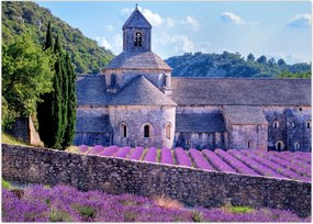 Tablou - Câmp de lavandă (70x50 cm)