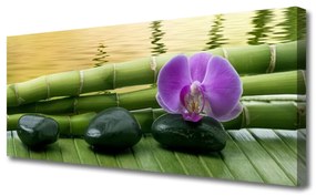 Tablou pe panza canvas Floare pietre de bambus Tulpini Floral Roz Negru Verde