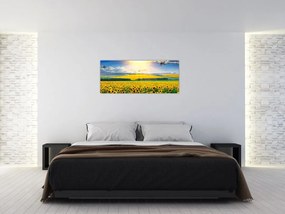 Tablou - Câmp cu floarea soarelui (120x50 cm)