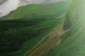 Tablou peisajul verde