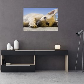 Tablou cu cățeluș dormind (90x60 cm)