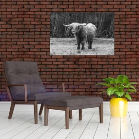 Tablou - Vacă scoțiană 3,alb-negru (90x60 cm)