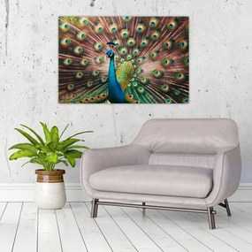 Tablou - Păun (90x60 cm)