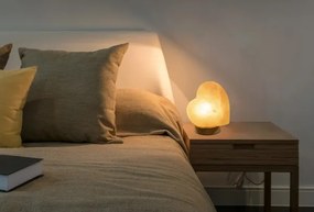 Globo 28308 - Lampă de sare STONE 1xE14/15W/230V 2,64 kg