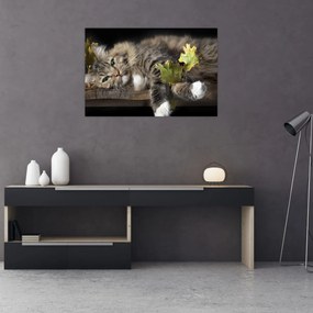 Tablou - Pisica mincinoasă (90x60 cm)