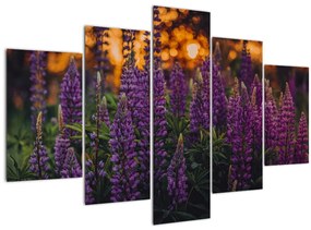 Tablou - Flori de lupin (150x105 cm)