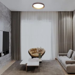 Plafoniera LED cu telecomanda Ladan D-50cm