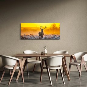 Tablou - Cerb la răsăritul soarelui (120x50 cm)