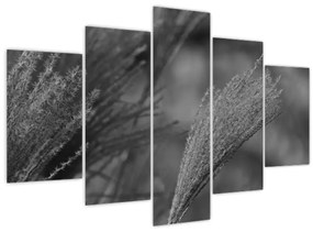 Tablou - Iarbă de pampas uscată (150x105 cm)