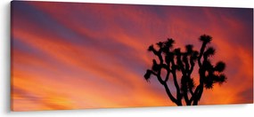 Tablou apus de soare deasupra siluetei unui copac (120x50 cm)