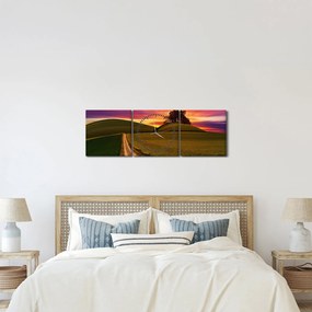 Tablou câmpului cu apus de soare (cu ceas) (90x30 cm)