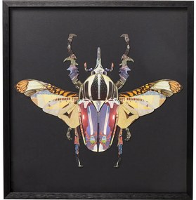 Tablou cu rama Art Beetle 60x60cm