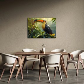 Tablou - Tukan (70x50 cm)