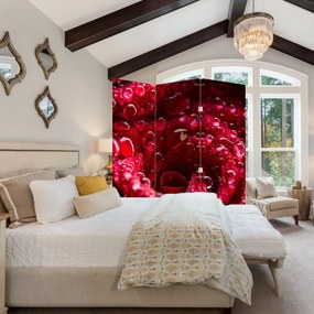 Paravan - floarea trandafirului roșu (126x170 cm)