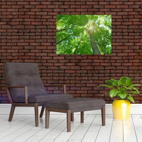 Tablou - Lunca (70x50 cm)