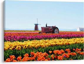 Tablou cu farma de lalele (70x50 cm)