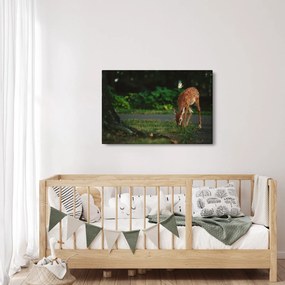 Tablou cu pui de cerb (90x60 cm)