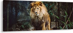 Tablou cu leu în natură (120x50 cm)