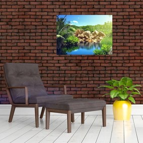 Tablou cu lac în jungla din Seychelles (70x50 cm)