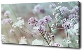 Print pe canvas Flori de câmp