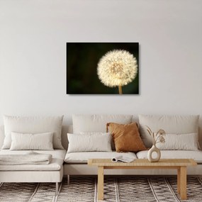 Tablou pe sticlă cu păpădie gri (70x50 cm)
