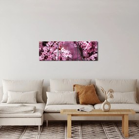 Tablou - Sakura roz (cu ceas) (90x30 cm)