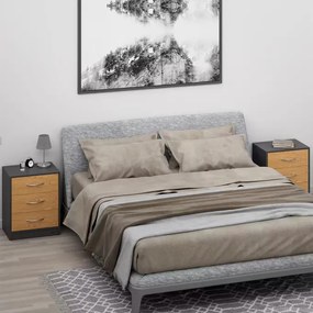 Deuba Set 2 noptiere Eloise 54x39x28 cm - lemn/gri