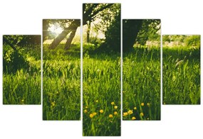 Tablou cu natura - lunca (150x105 cm)