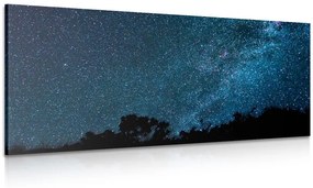 Tablou Calea Lactee printre stele