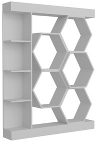 Raft Salix (Alb) . 1102596