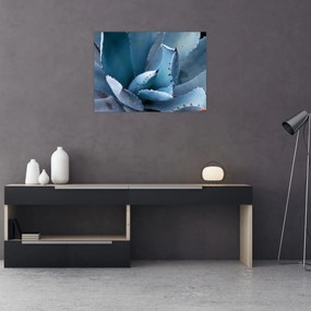 Tablou - Agave (70x50 cm)