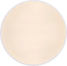 Globo 41744-24 - Plafonieră LED dimabilă WISS LED/24W/230V cu DO
