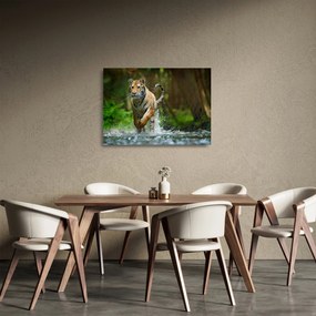 Tablou pe sticlă cu trigrul fugind (70x50 cm)